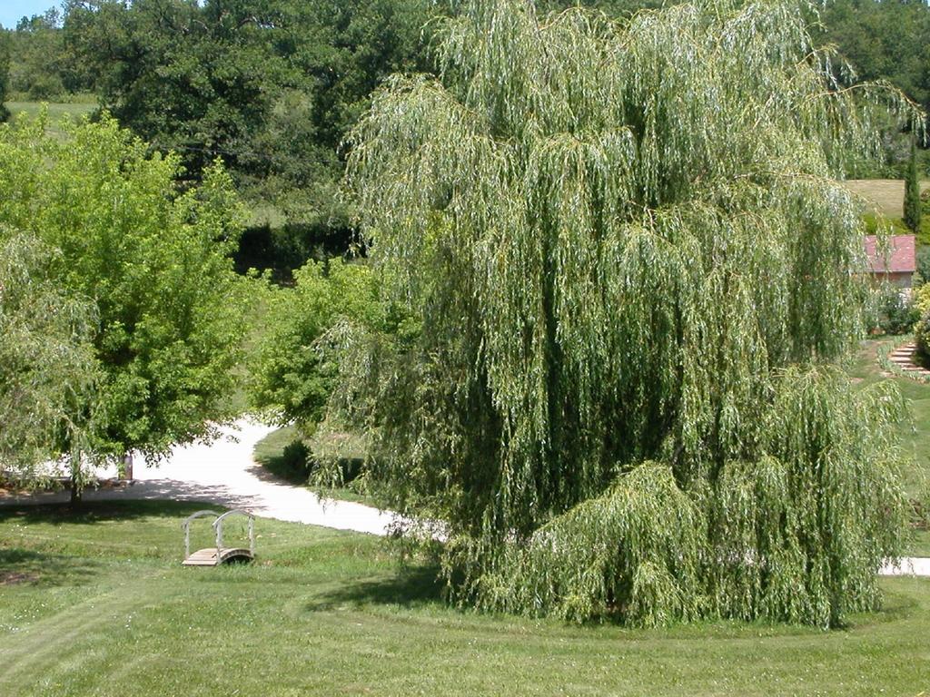 Hameau Les Combelles Villa มาร์แตล ภายนอก รูปภาพ